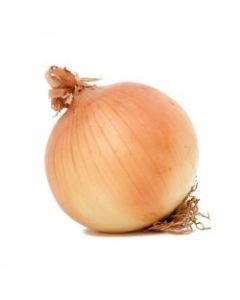 DAC White Onion