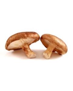 DAC Shitake Dry Mushroom