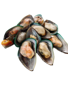 New Zealand Green Mussels