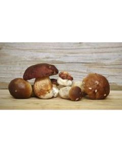 Hongos Porcini Deshidratados 100g