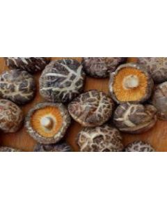 Hongos Shiitake Deshidratados 200 g